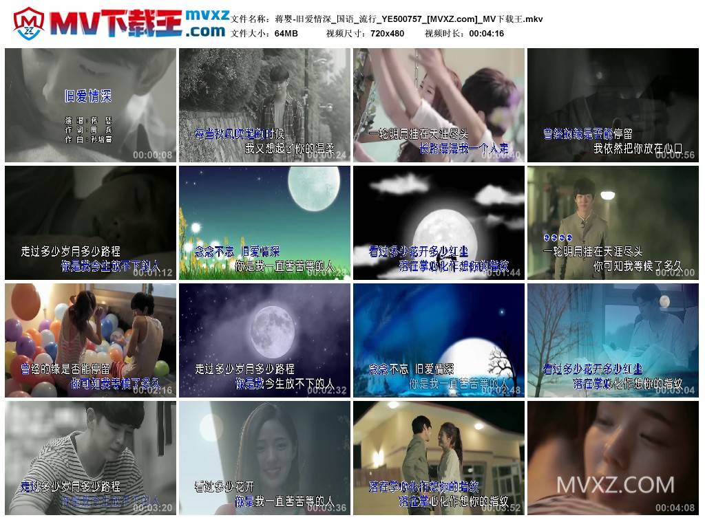 蒋婴-旧爱情深_国语_流行_YE500757